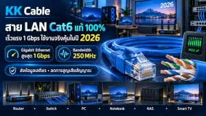 สาย LAN Cat6 รองรับความเร็วสูงสุด 1 Gbps และ Bandwidth 250 MHz สำหรับใช้งานเครือข่ายในปี 2026