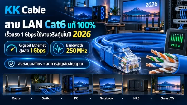 สาย LAN Cat6 รองรับความเร็วสูงสุด 1 Gbps และ Bandwidth 250 MHz สำหรับใช้งานเครือข่ายในปี 2026