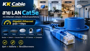 สาย LAN Cat5e รองรับ Gigabit Ethernet สูงสุด 1 Gbps สำหรับบ้านและสำนักงาน