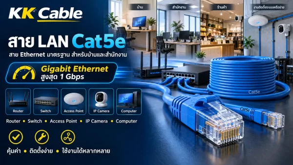 lan-cable-cat5e สาย LAN Cat5e รองรับ Gigabit Ethernet สูงสุด 1 Gbps สำหรับบ้านและสำนักงาน