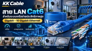 lan-cable-cat6 สาย LAN Cat6 รองรับ Gigabit และ 10 Gigabit Ethernet สำหรับระบบเครือข่ายประสิทธิภาพสูง