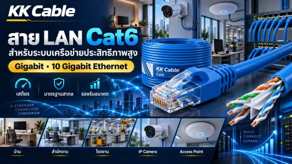 สาย LAN Cat6 รองรับ Gigabit และ 10 Gigabit Ethernet สำหรับระบบเครือข่ายประสิทธิภาพสูง