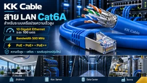 สาย LAN Cat6A รองรับ 10 Gigabit Ethernet ระยะ 100 เมตร แบนด์วิดท์ 500 MHz และ PoE++