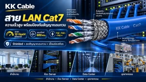 สาย LAN Cat7 รองรับความเร็วสูงสุด 10 Gigabit แบนด์วิดท์ 600 MHz และลดสัญญาณรบกวน