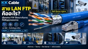 สาย LAN FTP คืออะไร? เลือกสาย FTP ให้เหมาะกับงานที่มีสัญญาณรบกวน