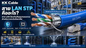 สาย LAN STP มีชั้น Shield ป้องกันสัญญาณรบกวนสำหรับโรงงาน ห้อง Server และ Data Center
