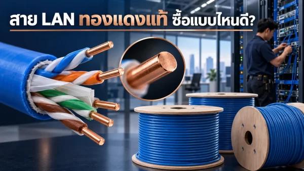 หน้าตัดตัวนำของสาย LAN ทองแดงแท้ พร้อมม้วนสายสำหรับงานเดินระบบเครือข่าย