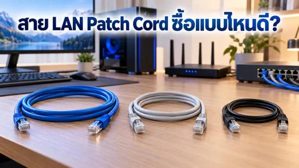 สาย LAN Patch Cord สำเร็จรูปหลายความยาว พร้อมหัว RJ45 ทั้งสองด้าน สำหรับคอมพิวเตอร์ Router และ Switch
