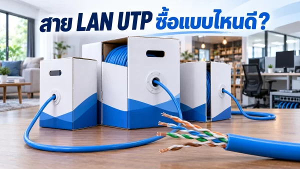 กล่องสาย LAN UTP สำหรับเลือกซื้อไปเดินระบบเครือข่ายในบ้าน ร้านค้า และสำนักงาน