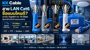 สาย LAN Cat6 แบบ UTP FTP Outdoor และ LSZH รองรับ Gigabit และ 10 Gbps ระยะประมาณ 55 เมตร