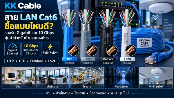สาย LAN Cat6 แบบ UTP FTP Outdoor และ LSZH รองรับ Gigabit และ 10 Gbps ระยะประมาณ 55 เมตร