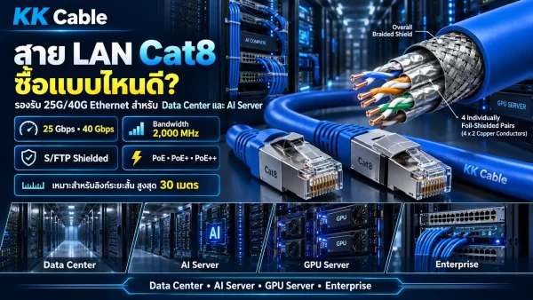 choose-cat8-cable สาย LAN Cat8 แบบ S/FTP รองรับ 25G และ 40G Ethernet สำหรับ Data Center AI Server และ GPU Server