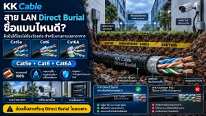 สาย LAN Direct Burial แบบ Cat5e Cat6 และ Cat6A สำหรับฝังดินโดยตรงระหว่างอาคาร