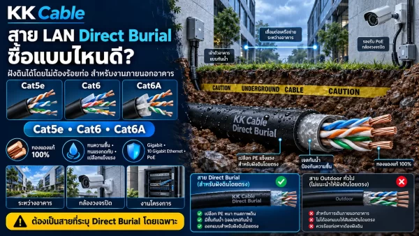 สาย LAN Direct Burial แบบ Cat5e Cat6 และ Cat6A สำหรับฝังดินโดยตรงระหว่างอาคาร