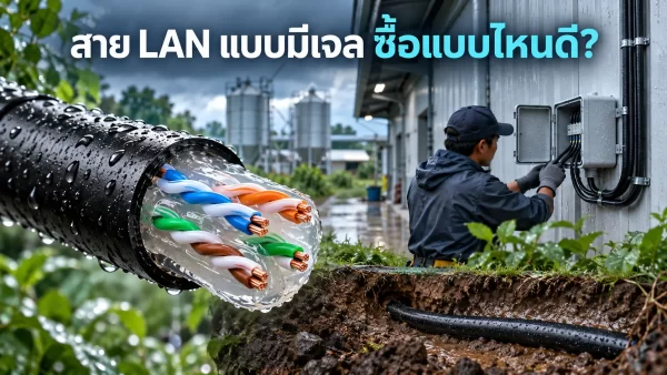หน้าตัดสาย LAN แบบมีเจลป้องกันความชื้น สำหรับงานเดินสายกลางแจ้ง