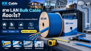 สาย LAN Bulk Cable แบบม้วนสำหรับตัดตามระยะและงานเดินระบบเครือข่ายถาวร