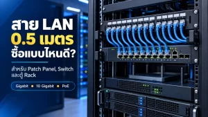 สาย LAN 0.5 เมตร ซื้อแบบไหนดี? สำหรับ Patch Panel, Switch และตู้ Rack อย่างมืออาชีพ