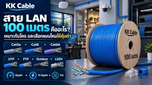 สาย LAN 100 เมตรแบบม้วน มีให้เลือกทั้ง Cat5e Cat6 Cat6A UTP FTP Outdoor และ LSZH