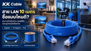 สาย LAN 10 เมตรสำหรับบ้าน ออฟฟิศ และเชื่อมต่ออุปกรณ์เครือข่าย