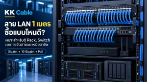 สาย LAN 1 เมตร ซื้อแบบไหนดี? เหมาะสำหรับตู้ Rack, Switch และการจัดสายอย่างมืออาชีพ