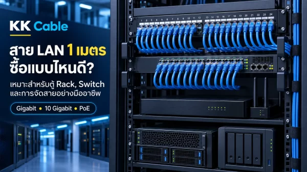 สาย LAN 1 เมตร ซื้อแบบไหนดี? เหมาะสำหรับตู้ Rack, Switch และการจัดสายอย่างมืออาชีพ