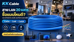 สาย LAN 20 เมตรแบบม้วนสำหรับบ้าน คอนโด ร้านค้า และสำนักงานขนาดเล็ก