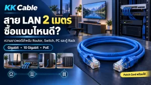 สาย LAN 2 เมตรแบบ Patch Cord สำหรับ Router Switch คอมพิวเตอร์ และตู้ Rack