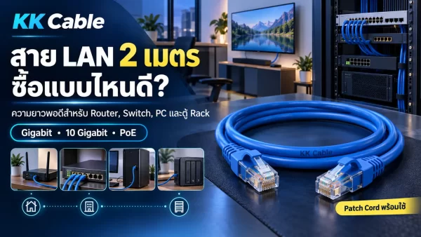 lan-cable-2m สาย LAN 2 เมตรแบบ Patch Cord สำหรับ Router Switch คอมพิวเตอร์ และตู้ Rack