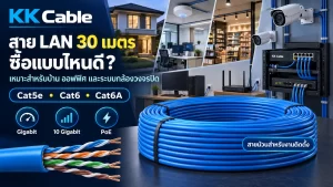 สาย LAN 30 เมตรแบบม้วนสำหรับบ้าน ออฟฟิศ ร้านค้า และระบบกล้องวงจรปิด