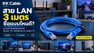 สาย LAN 3 เมตรแบบ Patch Cord สำหรับ Router PC Notebook NAS และ Smart TV