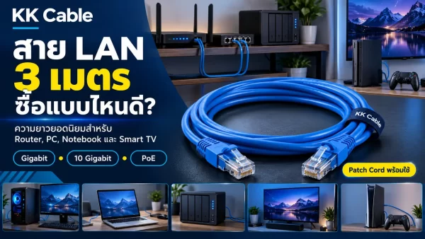 lan-cable-3m สาย LAN 3 เมตรแบบ Patch Cord สำหรับ Router PC Notebook NAS และ Smart TV