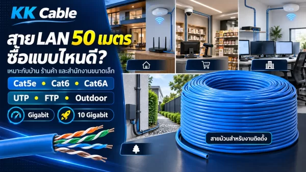 สาย LAN 50 เมตรแบบม้วนสำหรับบ้าน ร้านค้า และสำนักงานขนาดเล็ก