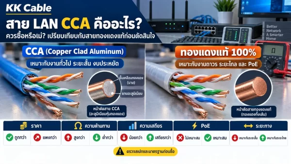 เปรียบเทียบสาย LAN CCA แกนอะลูมิเนียมหุ้มทองแดงกับสายทองแดงแท้ 100% ก่อนตัดสินใจซื้อ