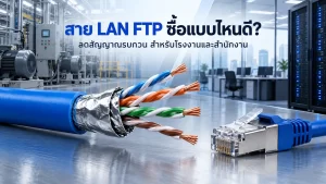 สาย LAN FTP หุ้มฟอยล์ลดสัญญาณรบกวน สำหรับโรงงานและสำนักงาน