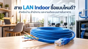 สาย LAN Indoor สำหรับเดินระบบเครือข่ายภายในบ้านและสำนักงาน
