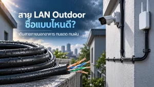 สาย LAN Outdoor เปลือกสีดำสำหรับเดินสายภายนอกอาคาร ติดตั้งกับกล้องวงจรปิดและ Access Point