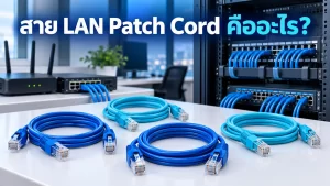 lan-patch-cord สาย LAN Patch Cord คืออะไร? เลือกสาย Patch Cord ให้เหมาะกับ Router, Switch และตู้ Rack