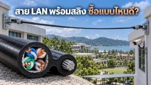 messenger-lan-cable หน้าตัดสาย LAN พร้อมสลิงและตัวอย่างการขึงสายอากาศระหว่างอาคาร
