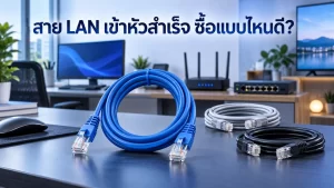 ready-made-lan-cable สาย LAN เข้าหัวสำเร็จพร้อมหัว RJ45 ทั้งสองด้าน สำหรับคอมพิวเตอร์ Router และ Switch