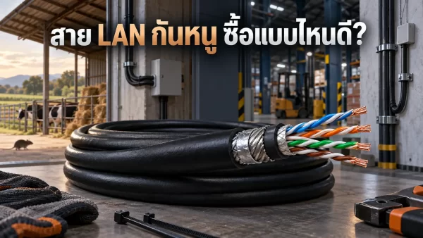 สาย LAN แบบลดความเสียหายจากสัตว์กัดแทะ สำหรับเดินระบบในฟาร์ม โรงงาน และโกดัง