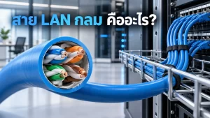 round-lan-cable หน้าตัดสาย LAN กลมที่มีสายคู่บิดเกลียว 4 คู่ พร้อมตัวอย่างการเดินสายเข้าตู้เครือข่าย