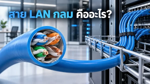 หน้าตัดสาย LAN กลมที่มีสายคู่บิดเกลียว 4 คู่ พร้อมตัวอย่างการเดินสายเข้าตู้เครือข่าย