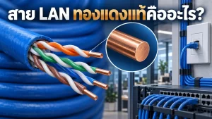 solid-bare-copper-lan ภาพขยายแกนตัวนำทองแดงแบบเส้นเดี่ยวของสาย LAN สำหรับงานเดินระบบเครือข่าย