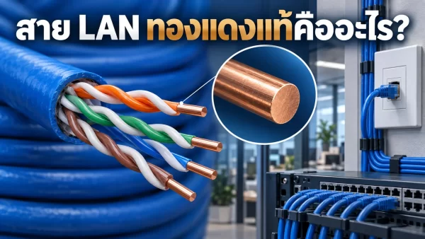 ภาพขยายแกนตัวนำทองแดงแบบเส้นเดี่ยวของสาย LAN สำหรับงานเดินระบบเครือข่าย